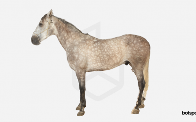Screenshot of a 3D model of a real horse, showing true geometry and color.